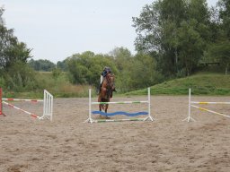 img_9764_web